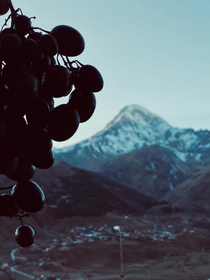 Guesthouse Relax In Kazbegi エクステリア 写真