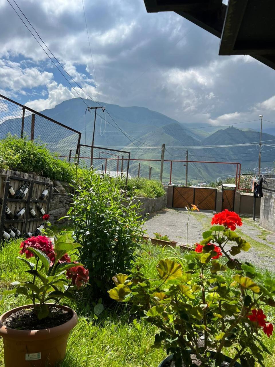 Guesthouse Relax In Kazbegi エクステリア 写真