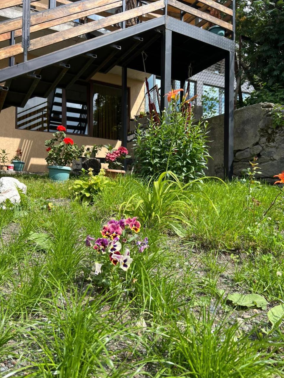 Guesthouse Relax In Kazbegi エクステリア 写真